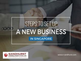 Establish Your New Business Company in Singapore