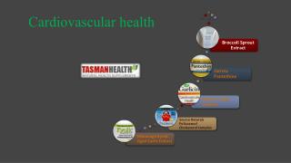 tasmanhealth.co.nz | Cardiovascular health