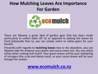 How mulching leaves are importance for garden