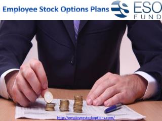 Employee Stock Options Plans | ESO Fund