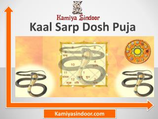 Kaal Sarp Dosh Puja & Book Kaal Sarp Dosh removal puja