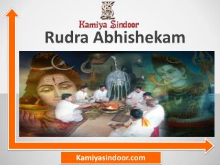 Rudra Abhishek And Shivling Abhishek & Shivling Aarti