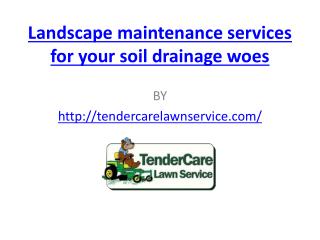 Landscape maintenance services for your soil drainage woes