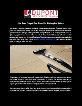 Dupont Circle Carpet Cleaning