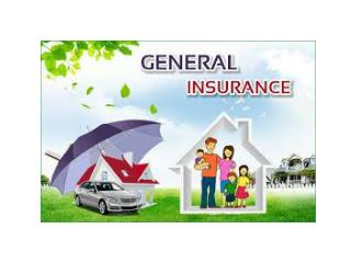 Future of General Insurance Industry