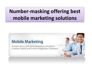 Number-masking Offering Best Mobile Marketing Solutions