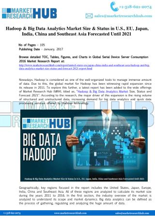 Hadoop & Big Data Analytics Market Size & Status Report