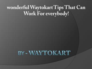 wonderful Waytokart Tips That Can Work For everybody!