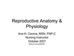 Reproductive Anatomy Physiology