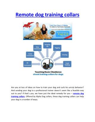 Remote Dog Training Collars