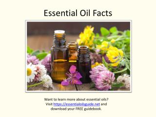 Essential Oil Facts