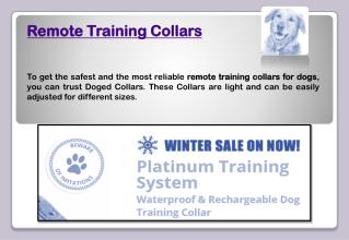 Remote training collars