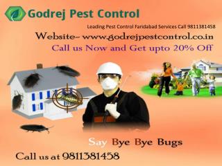Leading Pest Control Faridabad Services Call 9811381458