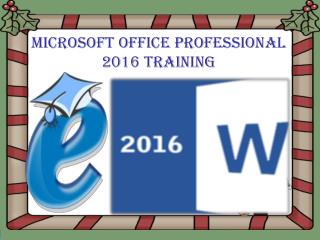 Microsoft Office Professional 2016 Training