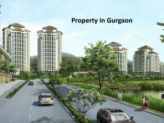 Property in Gurgaon