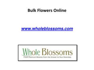 Bulk Flowers Online - www.wholeblossoms.com