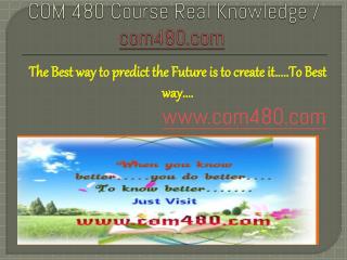 COM 480 Course Real Knowledge / com 480 dotcom