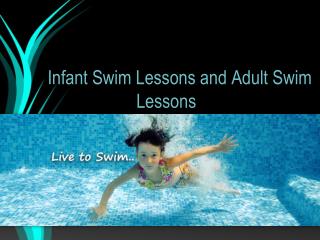 Best Institute of Adult Swim Lessons and Infant Swim Lessons
