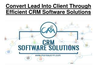 Convert Lead Into Client Through Efficient CRM Software Solutions