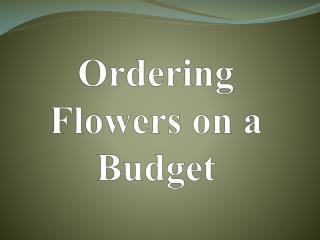 Ordering Flowers on a Budget