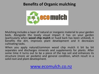 Benefits of Organic mulching