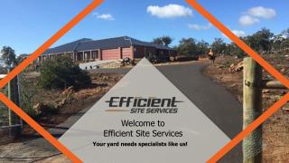 Efficient Site Services