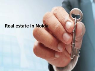 Real estate in Noida