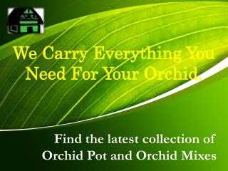Find the latest collection of Orchid Pot and Orchid Mixes Online