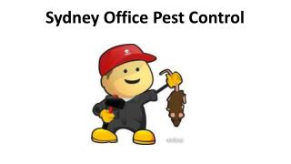 Sydney Office Pest Control