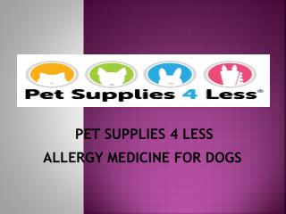 Allergy Medicine for Dogs