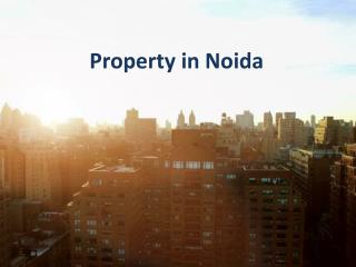 Property in Noida