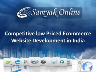 Competitive low Priced Ecommerce Website Development in India