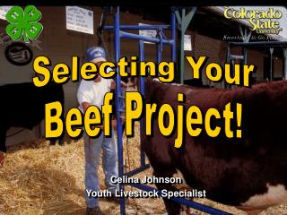 Celina Johnson Youth Livestock Specialist