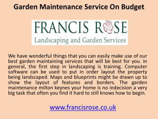 Garden maintenance service on budget