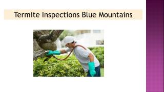 Termite Inspections Blue Mountains