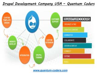 Best Drupal Development Company USA