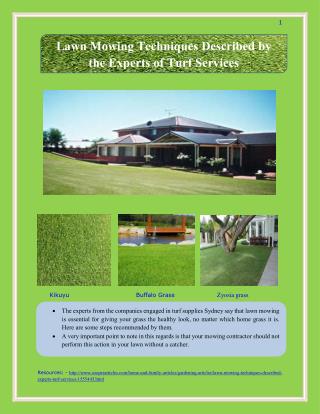 Lawn Mowing Techniques Described by the Experts of Turf Services