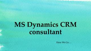 MS Dynamics CRM Consultant