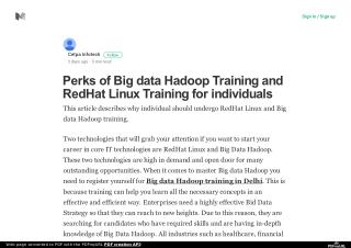 Perks of Big data Hadoop training and RedHat Linux training for individuals