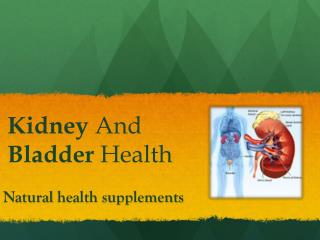 tasmanhealth.co.nz | Nature's Way Kidney Bladder