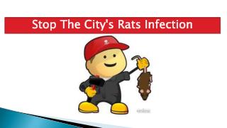 Stop The City's Rats Infection