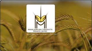 barley malt extract manufacturers