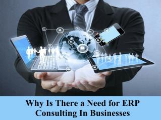 Why is there a need for ERP consulting in businesses