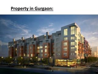 Property in Gurgaon