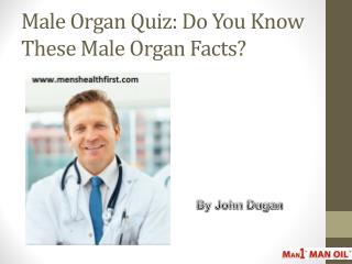 Male Organ Quiz: Do You Know These Male Organ Facts?