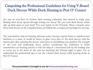 Catapulting the Professional Guidelines for Using V-Board Duck Decoys While Duck Hunting in Port O’ Connor