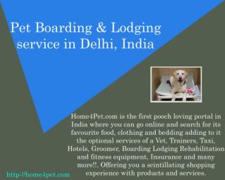 Pet Boarding & Lodging in Delhi, India