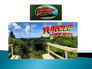 Maui Zipline Activities - Jungle Zip