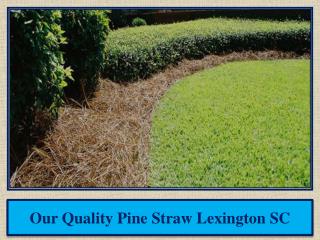 Our Quality Pine Straw Lexington SC