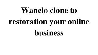 Wanelo clone to restoration your online business